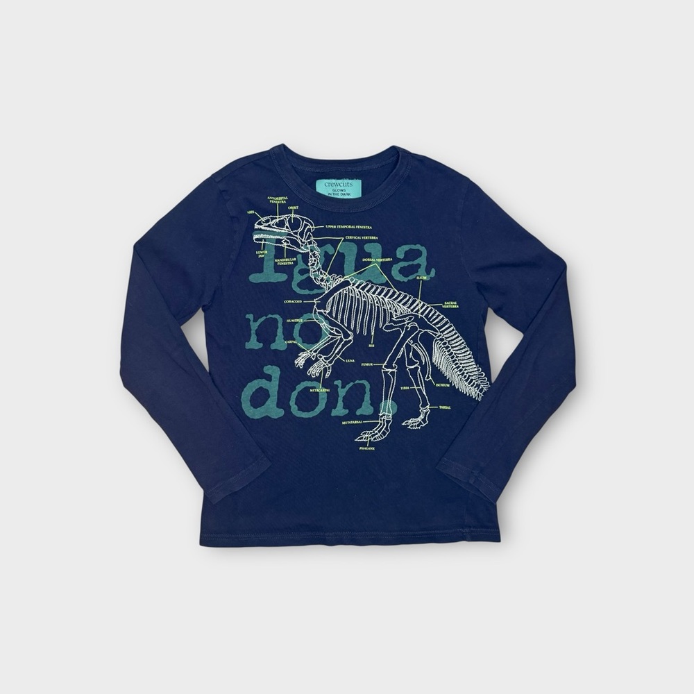 Crewcuts Glows In The Dark Dinosaur Stitch Education Text Blue Long Sleeve Shirt